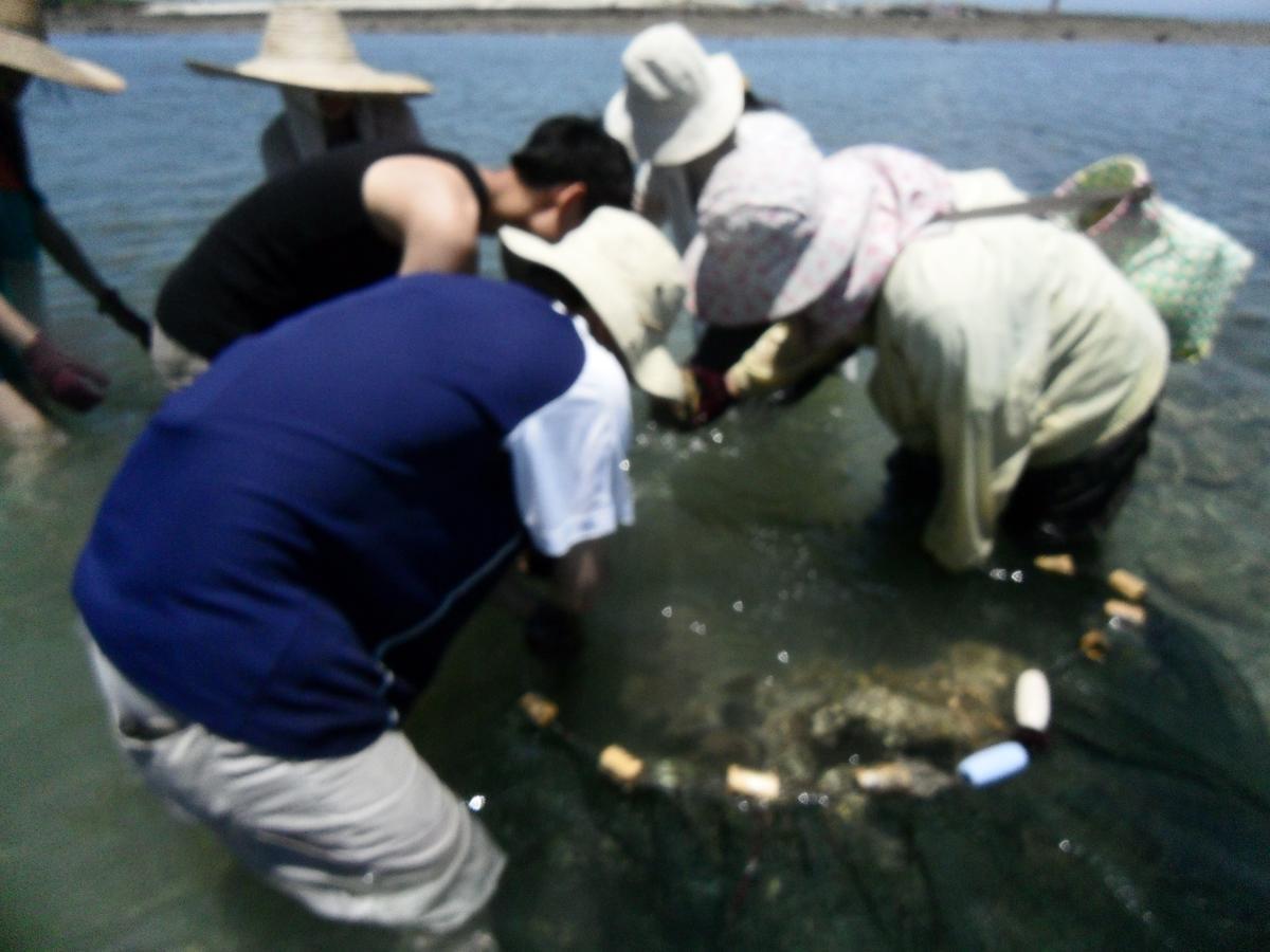Penghu Chenhi Bay Homestay Baisha Luaran gambar